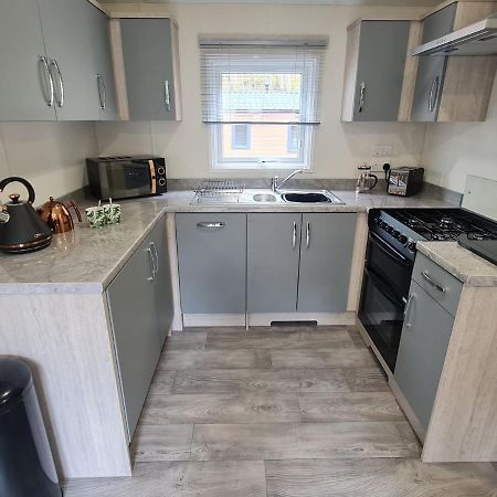 The Ceredigion - Plot 26, Woodlands Lodge Retreat, New Quay, West Wales Llanina Εξωτερικό φωτογραφία