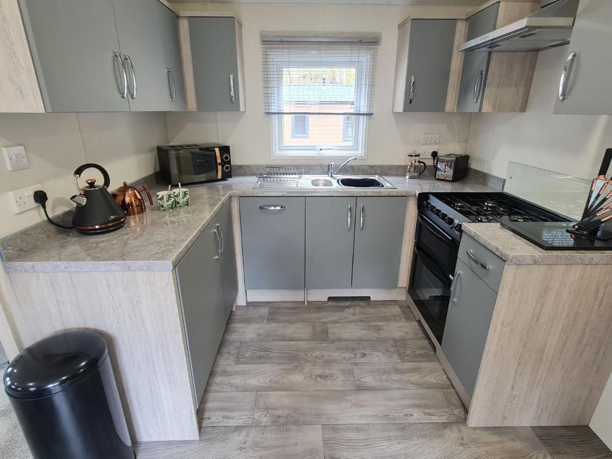 The Ceredigion - Plot 26, Woodlands Lodge Retreat, New Quay, West Wales Llanina Εξωτερικό φωτογραφία